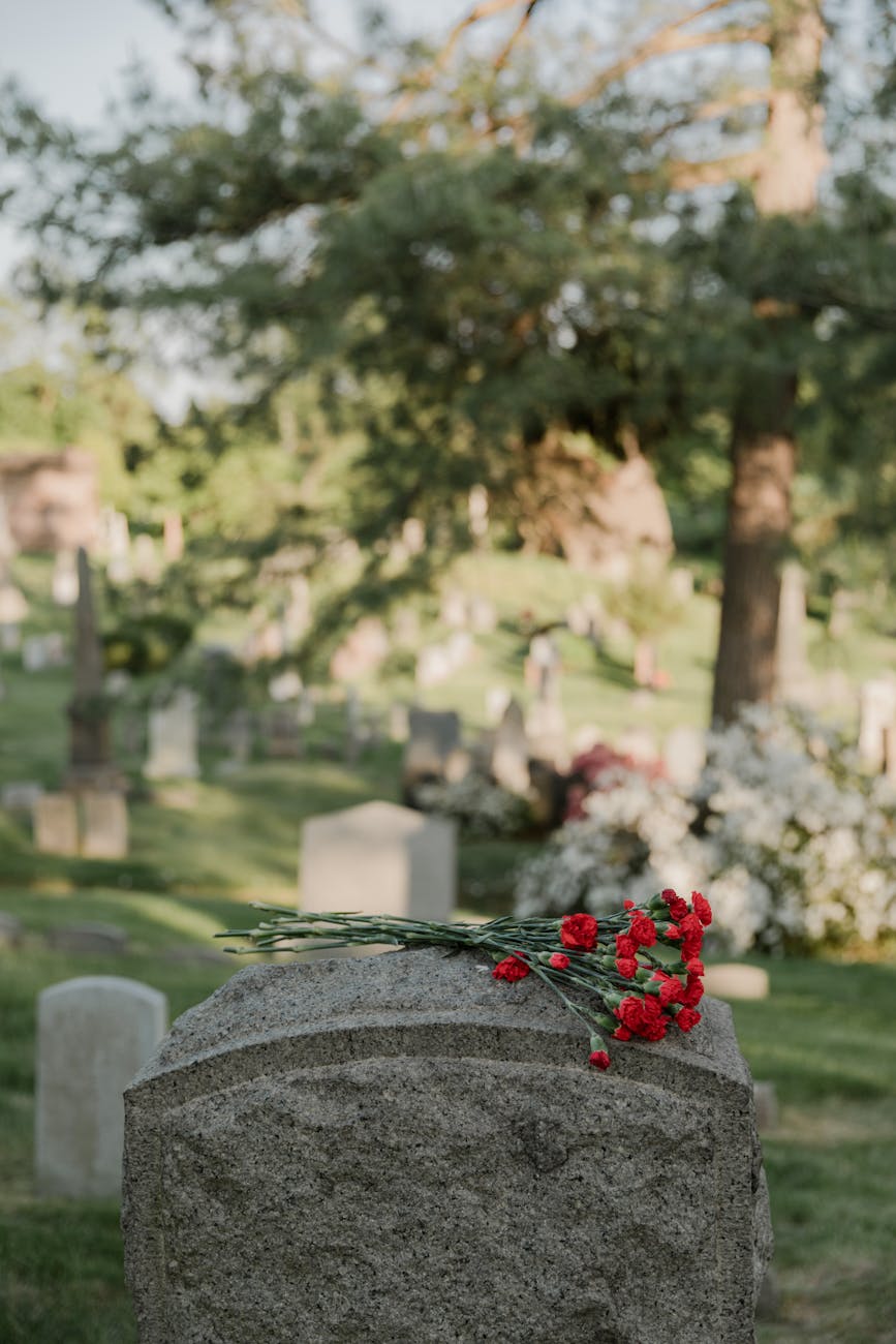 red flowers on a headstone
